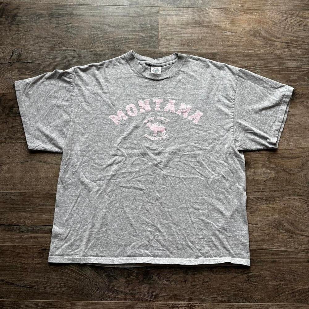 VTG Delta Pro Weight Montana Big Sky Country 2XL Gray Pink Short Sleeve T-Shirt